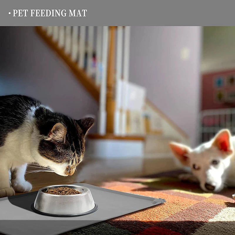Kitten Puppy Feeding Water Bowl or Dish Placemat